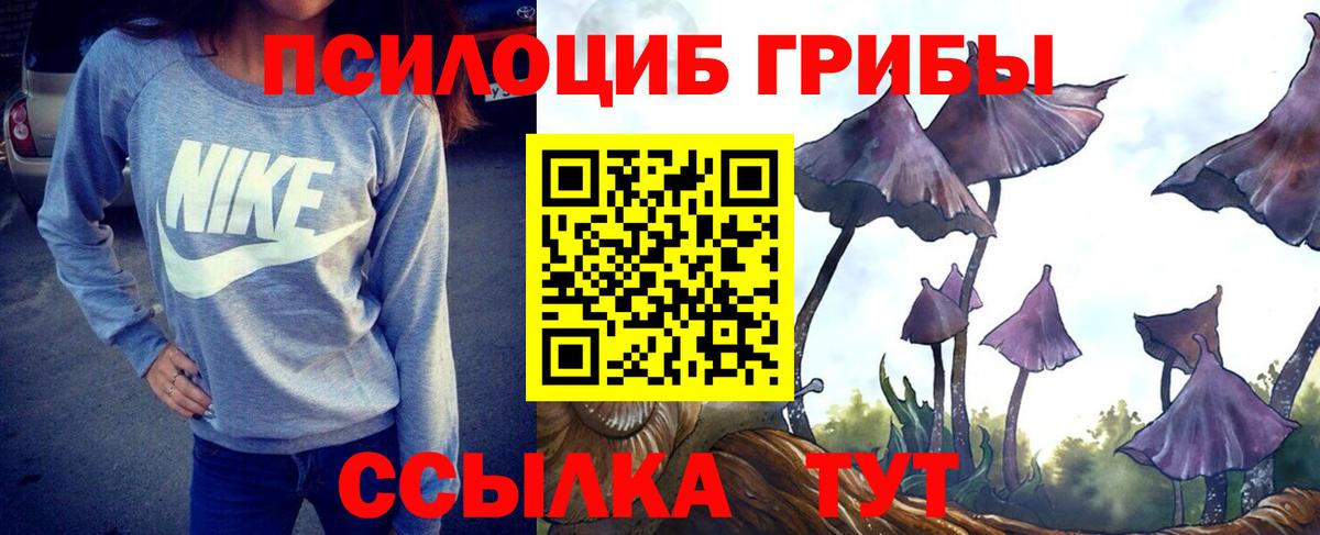 Гусев  Псилоцибиновые грибы Psilocybine cubensis  Вход с VPN 